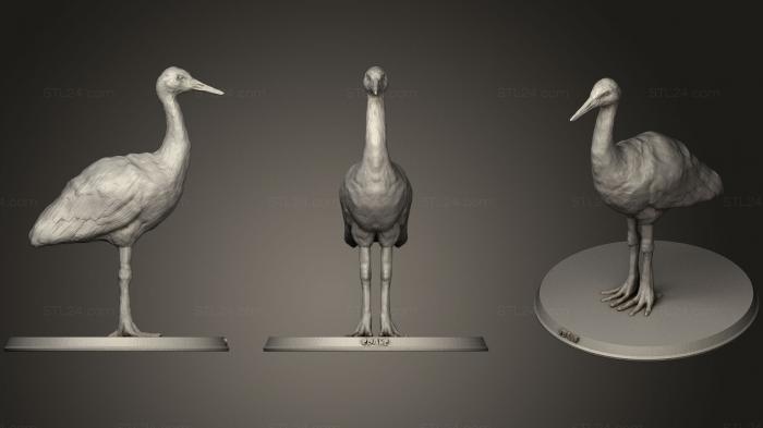 Статуэтки животных (Кран, STKJ_0853) 3D модель для ЧПУ станка